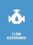 Flow assurance&nbsp;
